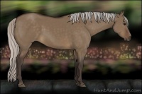 Horse Color:Silver Brown Dun