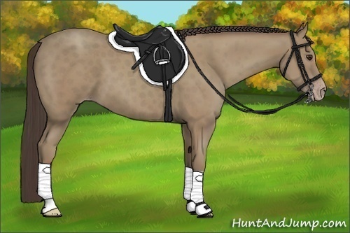 Horse Color:Classic Champagne 