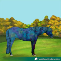 Horse Color:ERROR: UNKNOWN ANOMALY