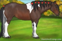 Horse Color:Bay Roan Tobiano 