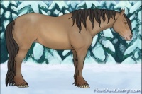 Horse Color:Sable Champagne