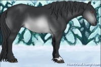 Horse Color:Brown Chinchilla
