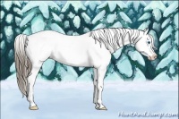 Horse Color:Liver Chestnut Splash Frame Appaloosa