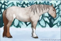 Horse Color:Red Roan 