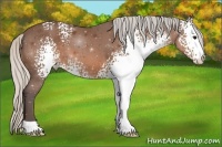 Horse Color:White Spotted Silver Brown