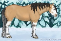 Horse Color:Bay Dun Sabino Splash