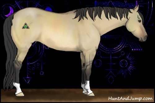 Horse Color:Buckskin Dun