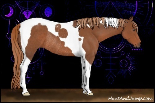 Horse Color:Chestnut Tobiano Rabicano 