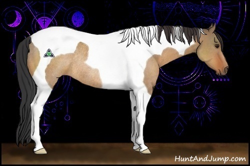 Horse Color:Bay Dun Tobiano Rabicano 