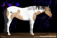 Horse Color:Bay Dun Tobiano Rabicano