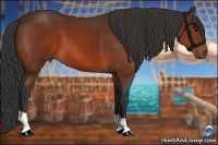 Horse Color:Bay 