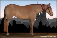 Horse Color:Chestnut Sabino