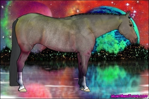 Horse Color:Grullo Rabicano