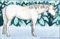 Horse Color:Silver Classic Champagne Dun Splash Frame Snowcap 
