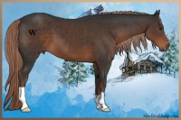 Horse Color:Liver Chestnut 