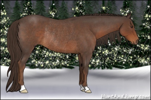 Horse Color:Liver Red Roan Rabicano 