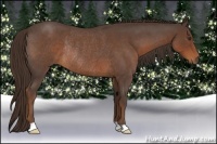Horse Color:Liver Red Roan Rabicano 