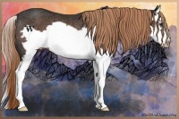 Horse Color:Liver Chestnut Splash Frame Rabicano 