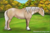 Horse Color:Silver Black Pearl Sabino