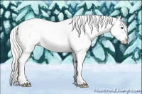 Horse Color:White Spotted Silver Grullo Sabino Appaloosa 