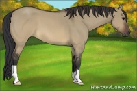 Horse Color:Brown Roan Dun 