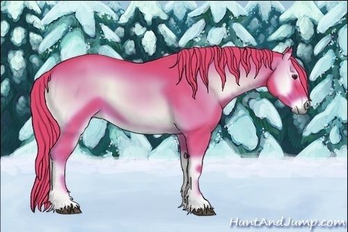 Horse Color:Watercolor Red Onyx 