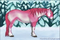 Horse Color:Watercolor Red Onyx