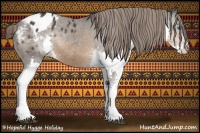 Horse Color:Brown Splash Appaloosa 