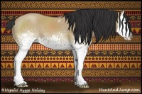 Horse Color:White Spotted Bay Dun Sabino Splash 