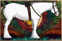 Horse Color:White Spotted Silver Grullo Chinchilla Roan Appaloosa 