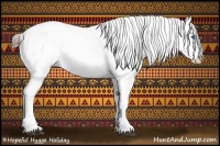 Horse Color:Blue Roan Splash Appaloosa 