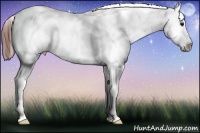 Horse Color:Bay Sabino Appaloosa