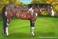 Horse Color:White Spotted Bay Ice Roan Splash 