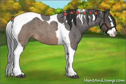 Horse Color:Buckskin Roan Splash Tobiano 