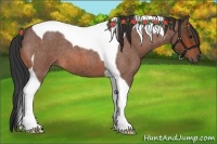 Horse Color:Bay Roan Tobiano