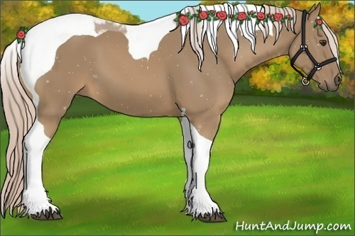 Horse Color:Palomino Tobiano 