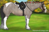 Horse Color:Brown Roan Dun Splash Tobiano 