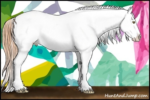 Horse Color:Sable Cream Champagne Appaloosa 