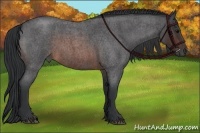 Horse Color:Brown Roan