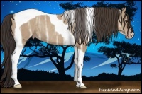 Horse Color:Classic Champagne Ice Tobiano Rabicano