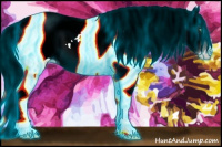Horse Color:Gray Thunderstruck White Spotted Gold Cream Champagne Dun Splash Blanket Rabicano 