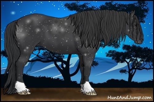 Horse Color:Black 