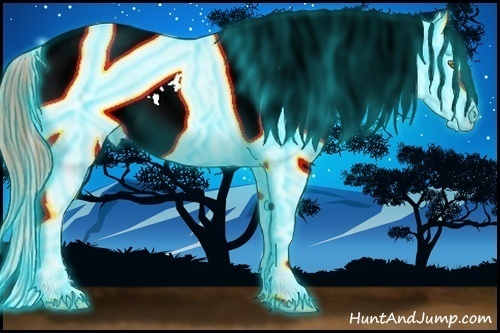 Horse Color:Thunderstruck White Spotted Classic Champagne Dun Appaloosa Rabicano 