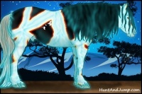 Horse Color:Thunderstruck White Spotted Classic Champagne Dun Appaloosa Rabicano 