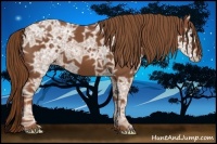 Horse Color:Chestnut Ice 