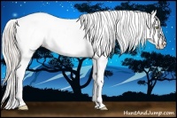 Horse Color:Silver Classic Champagne Ice Splash Varnish Rabicano
