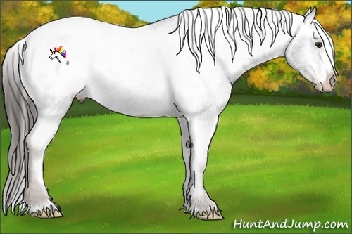 Horse Color:Liver Red Roan Snowcap Rabicano
