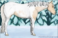 Horse Color:Silver Bay Roan Pearl Tobiano Snowcap 
