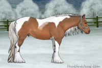 Horse Color:Silver Bay Sabino Tobiano 