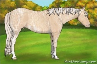 Horse Color:Silver Sable Champagne Ice Roan 